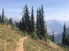 Maple Heather Trail, WA